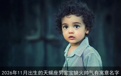 2026年11月出生的天蝎座男宝宝缺火帅气有寓意名字