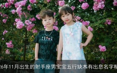 2026年11月出生的射手座男宝宝五行缺木有出息名字精选