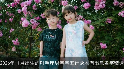 2026年11月出生的射手座男宝宝五行缺木有出息名字精选