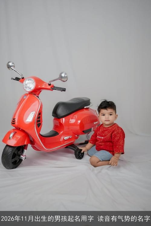 2026年11月出生的男孩起名用字 读音有气势的名字