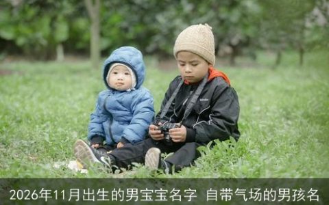 2026年11月出生的男宝宝名字 自带气场的男孩名