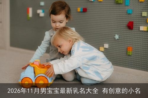 2026年11月男宝宝最新乳名大全 有创意的小名