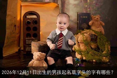 2026年12月11日出生的男孩起名草字头的字有哪些？