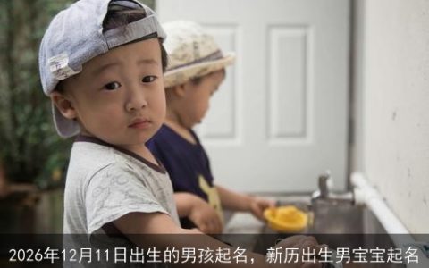 2026年12月11日出生的男孩起名，新历出生男宝宝起名