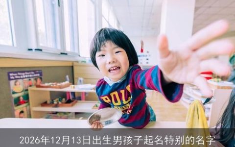 2026年12月13日出生男孩子起名特别的名字