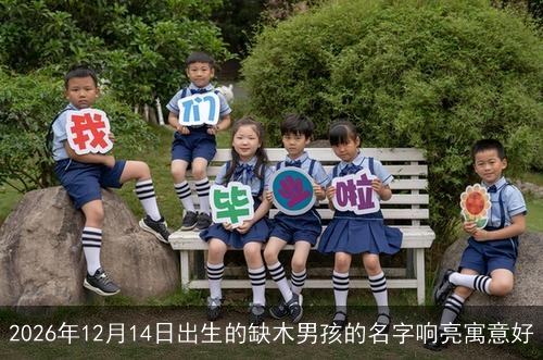 2026年12月14日出生的缺木男孩的名字响亮寓意好