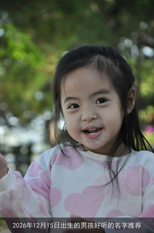 2026年12月15日出生的男孩好听的名字推荐