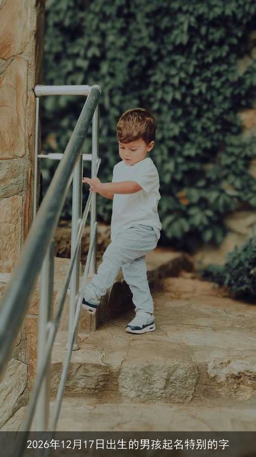 2026年12月17日出生的男孩起名特别的字