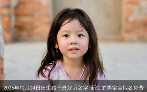 2026年12月24日出生孩子最好听名字 新生的男宝宝取名免费