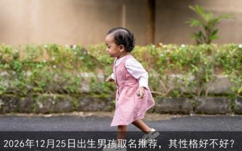 2026年12月25日出生男孩取名推荐，其性格好不好？