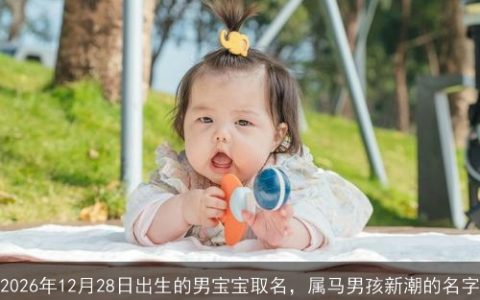 2026年12月28日出生的男宝宝取名，属马男孩新潮的名字