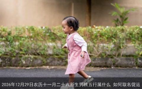 2026年12月29日农历十一月二十六新生男孩五行属什么 如何取名促运