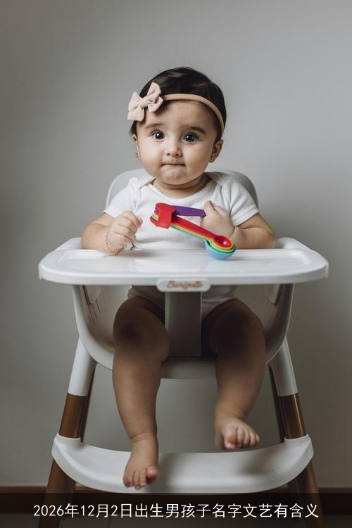 2026年12月2日出生男孩子名字文艺有含义