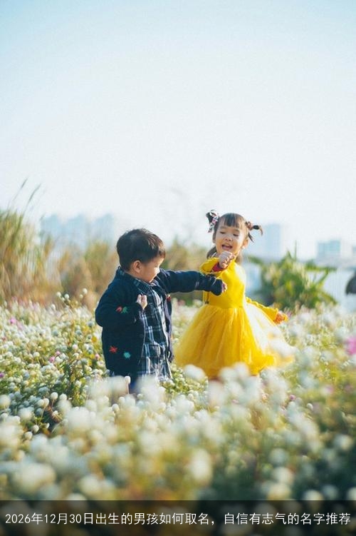2026年12月30日出生的男孩如何取名，自信有志气的名字推荐