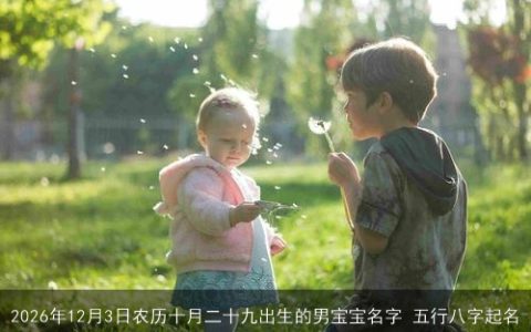 2026年12月3日农历十月二十九出生的男宝宝名字 五行八字起名