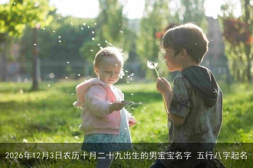 2026年12月3日农历十月二十九出生的男宝宝名字 五行八字起名