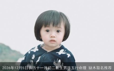 2026年12月5日农历十一月初二新生男孩五行命理 缺木取名推荐