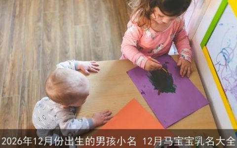 2026年12月份出生的男孩小名 12月马宝宝乳名大全