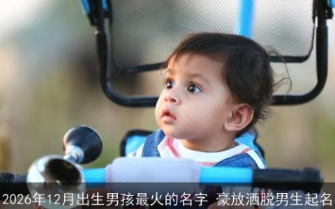 2026年12月出生男孩最火的名字 豪放洒脱男生起名