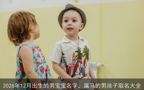 2026年12月出生的男宝宝名字，属马的男孩子取名大全