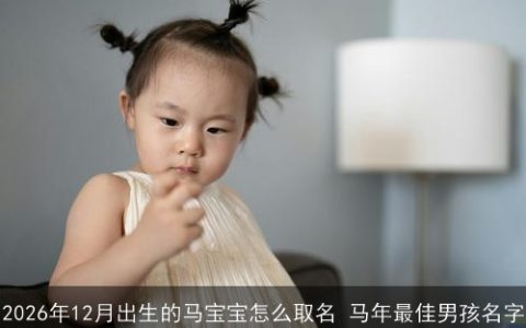 2026年12月出生的马宝宝怎么取名 马年最佳男孩名字