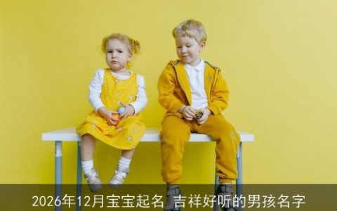 2026年12月宝宝起名 吉祥好听的男孩名字