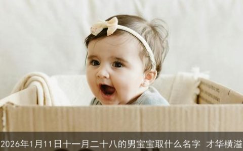 2026年1月11日十一月二十八的男宝宝取什么名字 才华横溢