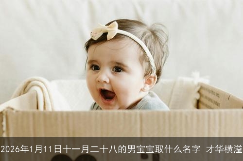 2026年1月11日十一月二十八的男宝宝取什么名字 才华横溢