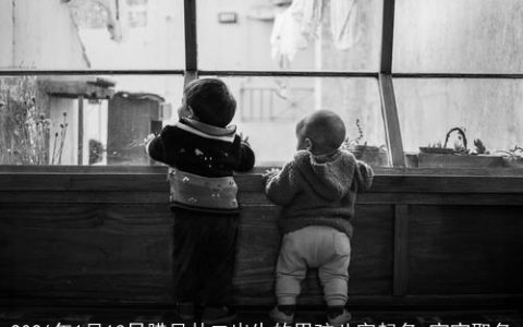 2026年1月13日腊月廿二出生的男孩八字起名 宝宝取名