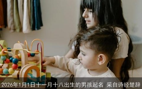 2026年1月1日十一月十八出生的男孩起名 采自诗经楚辞