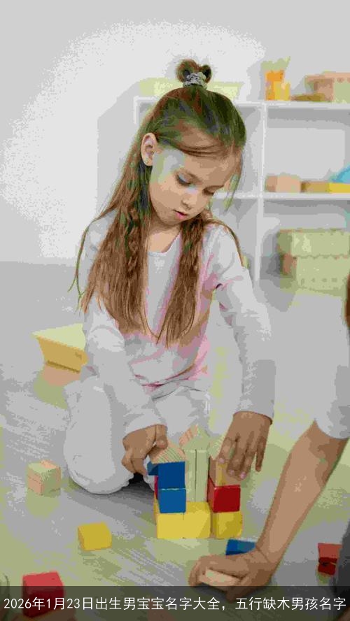 2026年1月23日出生男宝宝名字大全，五行缺木男孩名字