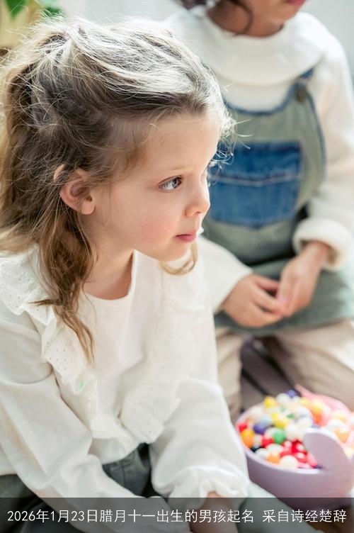 2026年1月23日腊月十一出生的男孩起名 采自诗经楚辞