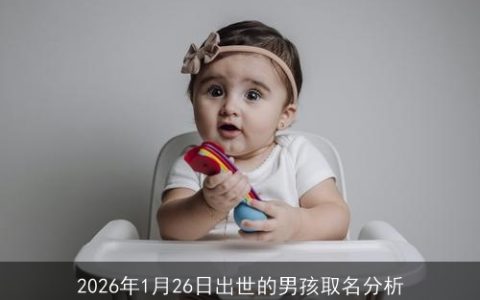 2026年1月26日出世的男孩取名分析