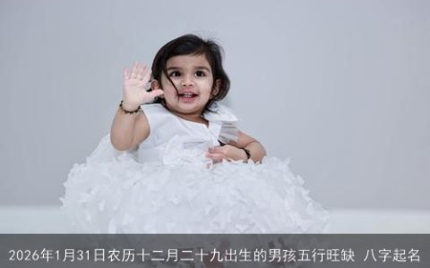 2026年1月31日农历十二月二十九出生的男孩五行旺缺 八字起名
