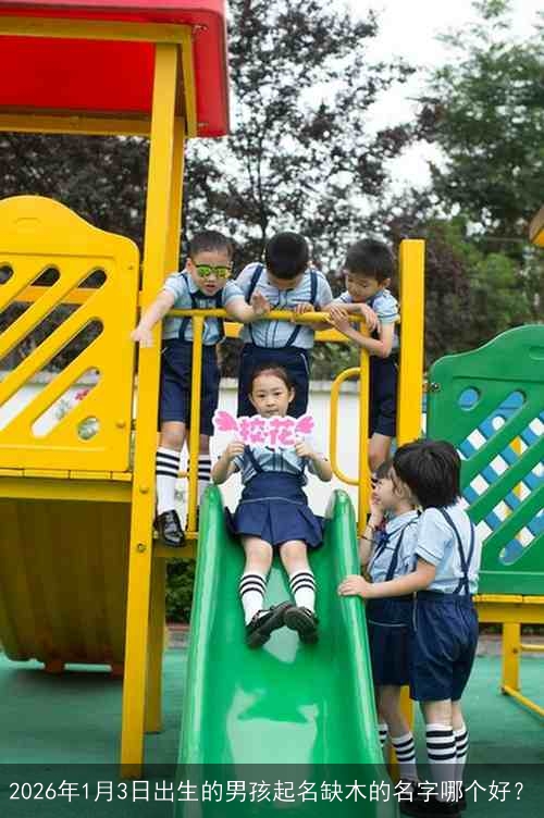 2026年1月3日出生的男孩起名缺木的名字哪个好？