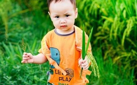 2026年1月7日腊月初五出生的男宝宝五行查询 缺木怎么取名好