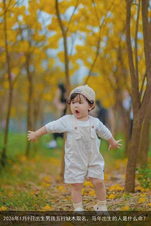 2026年1月9日出生男孩五行缺木取名，马年出生的人是什么命？