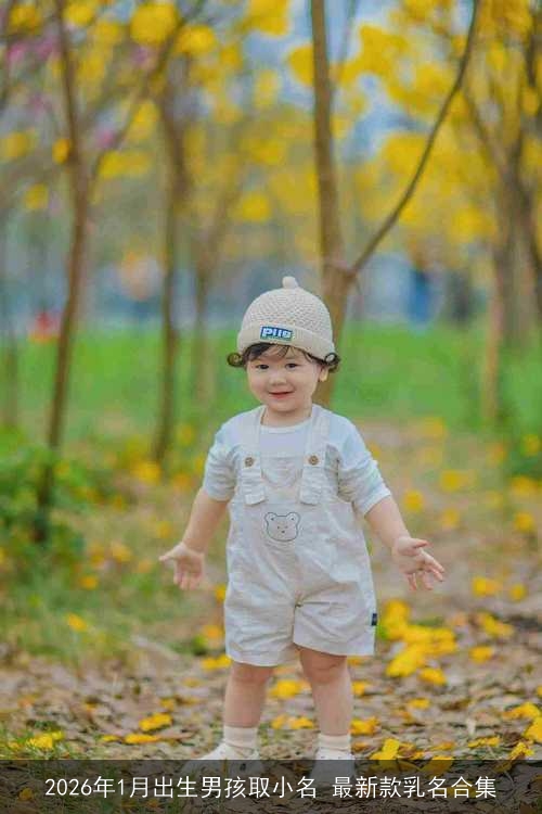 2026年1月出生男孩取小名 最新款乳名合集