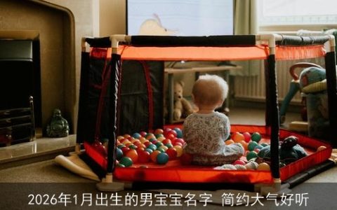 2026年1月出生的男宝宝名字 简约大气好听