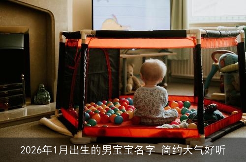 2026年1月出生的男宝宝名字 简约大气好听