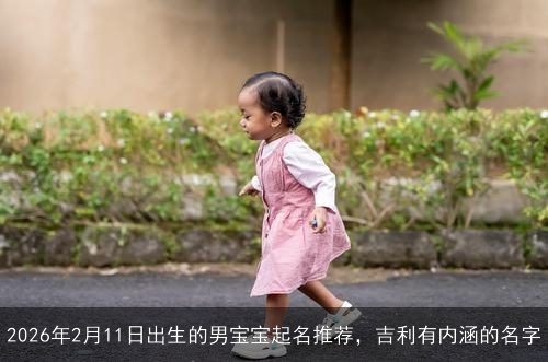2026年2月11日出生的男宝宝起名推荐，吉利有内涵的名字