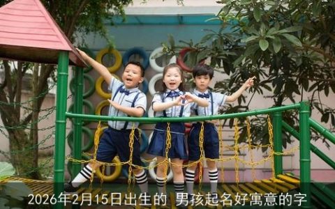 2026年2月15日出生的 男孩起名好寓意的字