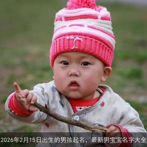 2026年2月15日出生的男孩起名，最新男宝宝名字大全