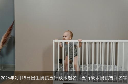 2026年2月18日出生男孩五行缺木起名，五行缺木男孩吉祥名字
