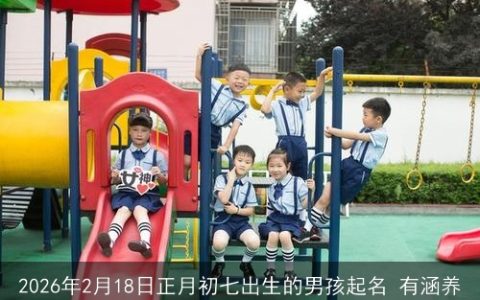 2026年2月18日正月初七出生的男孩起名 有涵养