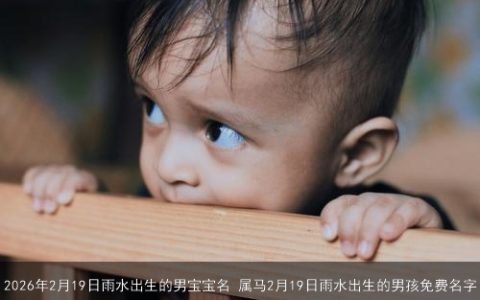 2026年2月19日雨水出生的男宝宝名 属马2月19日雨水出生的男孩免费名字
