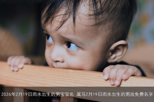 2026年2月19日雨水出生的男宝宝名 属马2月19日雨水出生的男孩免费名字