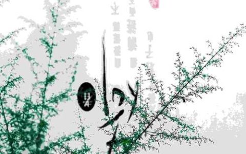 2026年2月1日腊月二十出生的男孩子怎么样