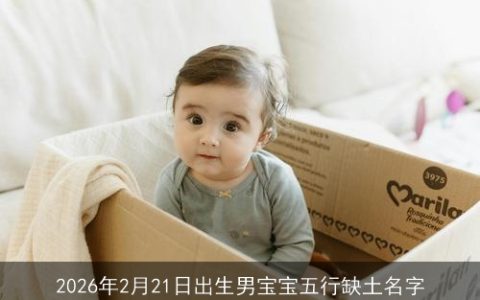 2026年2月21日出生男宝宝五行缺土名字