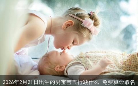 2026年2月21日出生的男宝宝五行缺什么 免费算命取名